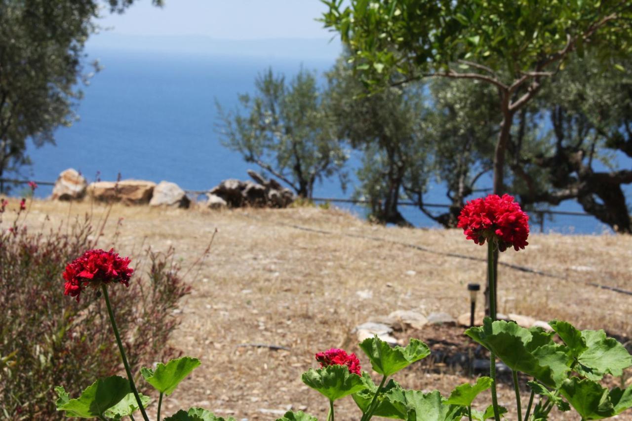 הוילה קלמאטה Sea And Mountain View מראה חיצוני תמונה